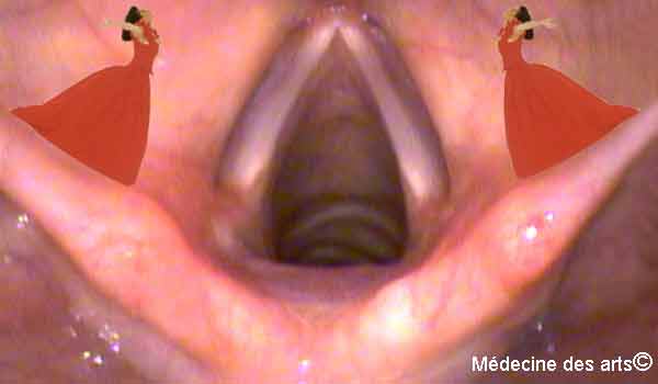 Cordes vocales et ménopause