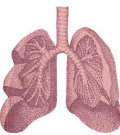 Chant et transplantation pulmonaire