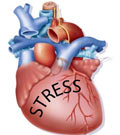 Stress coeur