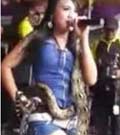 Snakes and Show